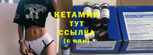 прущие грибы Медногорск