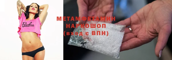 прущие грибы Медногорск