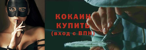 дмт Мегион
