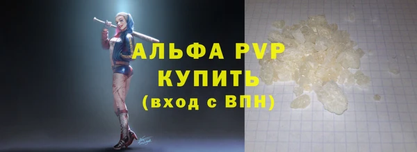 прущие грибы Медногорск