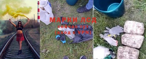 прущие грибы Медногорск