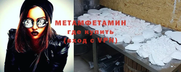 прущие грибы Медногорск