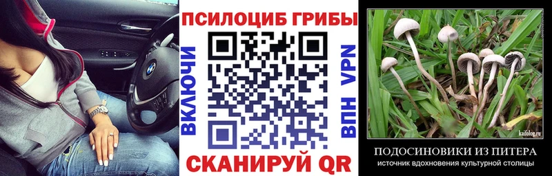 Галлюциногенные грибы мицелий купить наркотик Алатырь