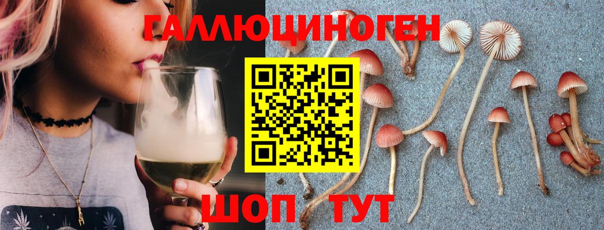 Псилоцибиновые грибы MAGIC MUSHROOMS  Вход с VPN  Галлюциногенные грибы ЛСД  Алатырь 
