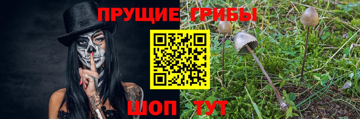 Галлюциногенные грибы Psilocybine cubensis  Вход с VPN  Алатырь  Псилоцибиновые грибы ЛСД 