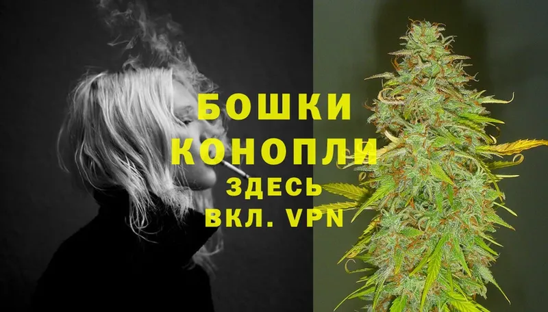 Шишки марихуана SATIVA & INDICA  продажа наркотиков  Алатырь 